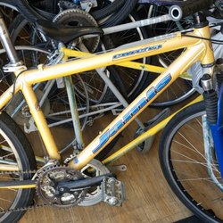 The Bicycle Tree