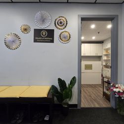 Wealth of Wellness