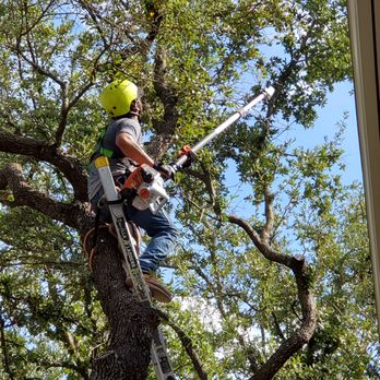 Ortega & Son - Joe Ortega - Tree Services Near Me Ortega & Son - Joe Ortega - Tree Services Near Me