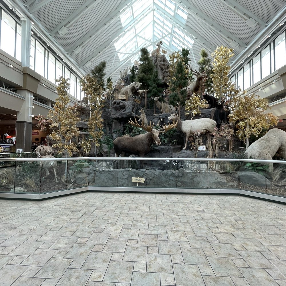 Scheels - Taxidermy - Sports Wear Near Me - Sparks, Nevada