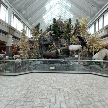 Scheels - Taxidermy - Sports Wear Near Me - Sparks, Nevada