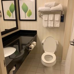 Toilet Toilet