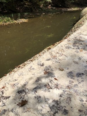 Saratoga Spa State Park by null