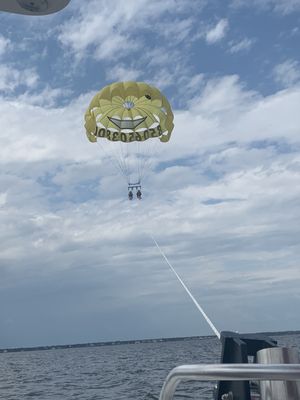 Pelican Adventures by null