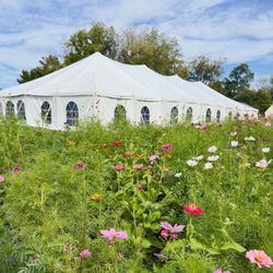 D&S Party Tent Rentals