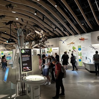 Richard Gilder Center for Science - Museums Near Me - New York, New York Richard Gilder Center for Science - Museums Near Me - New York, New York