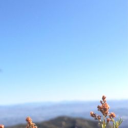 Mishe Mokwa Trail to Sandstone Peak