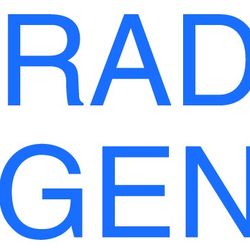 Brady Agency