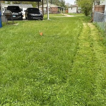 All Done Express - a yard with grass and a fence - General Contractors Near Me
