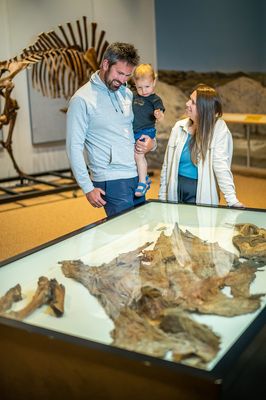 Yukon Beringia Interpretive Centre by null
