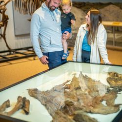 Yukon Beringia Interpretive Centre