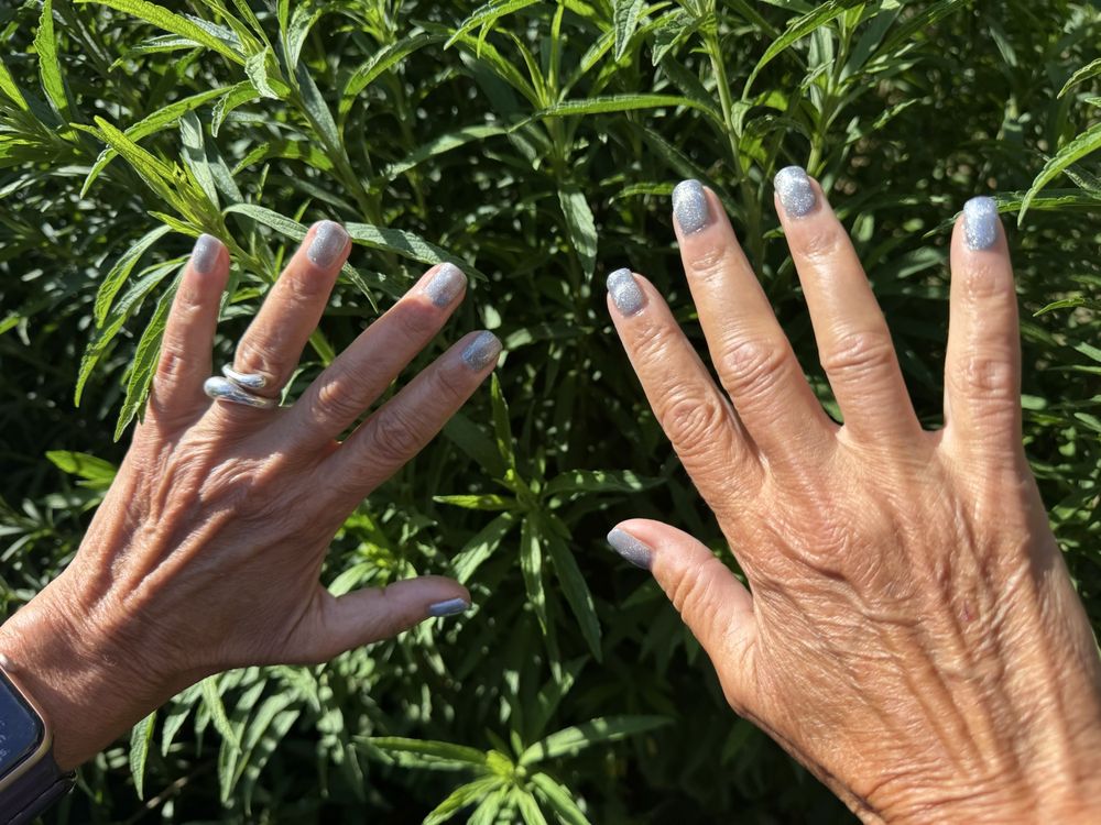 Suzie's Nails Logo