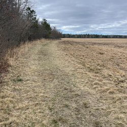 Francis Carter Memorial Preserve - Grassland