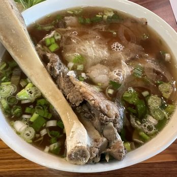 Pho Hoa - Beef and rib brisket phô was a premium offering and the portion was huge and flavorful. - Vietnamese Near Me - Greenacres, Florida