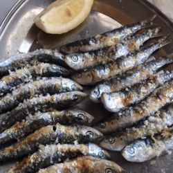 Chiringuito María - Sardinas, Chiringuito María