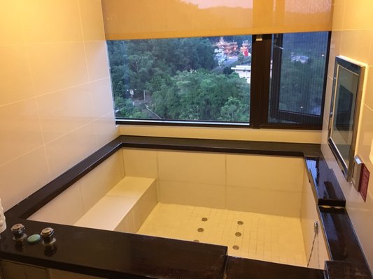 Sun Moon Lake Hotel by null