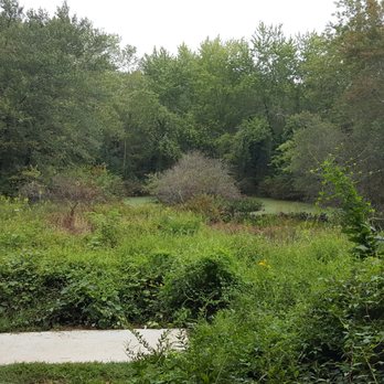 Jackson Park - Parks Near Me - Hendersonville, North Carolina Jackson Park - Parks Near Me - Hendersonville, North Carolina