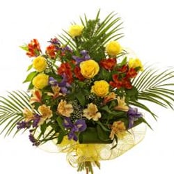 Unique Blooms