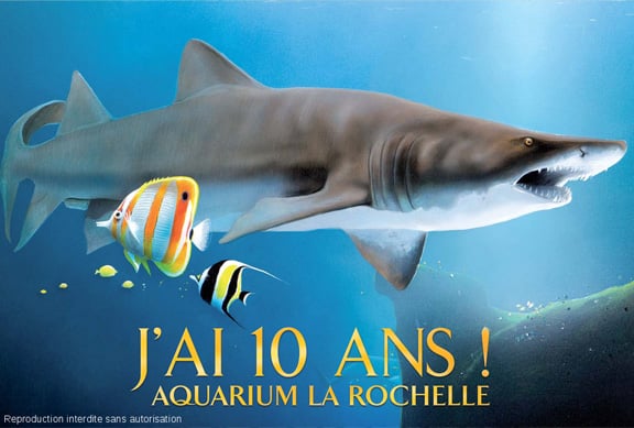 La Rochelle Aquarium by null