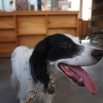 Mel - IG: @thedogtrine - Bakeries Near Me - Hudson, New York