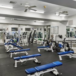 Mussel Beach Fitness Club - Full free-weight floor with dumbbells, adjustable benches, bench-press stations, racks, and Body Masters equipment.