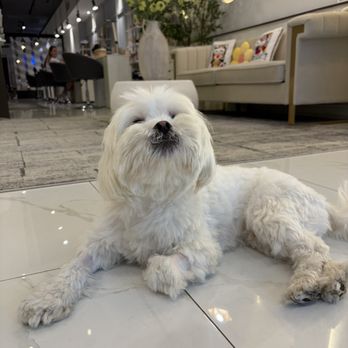 X Nail Bar - The most perfect good boy - Nail Salons Near Me - New York, New York X Nail Bar - The most perfect good boy - Nail Salons Near Me - New York, New York