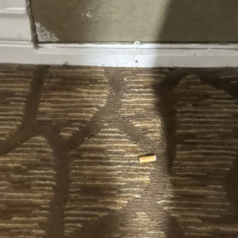 Cigarette buds in the room Cigarette buds in the room