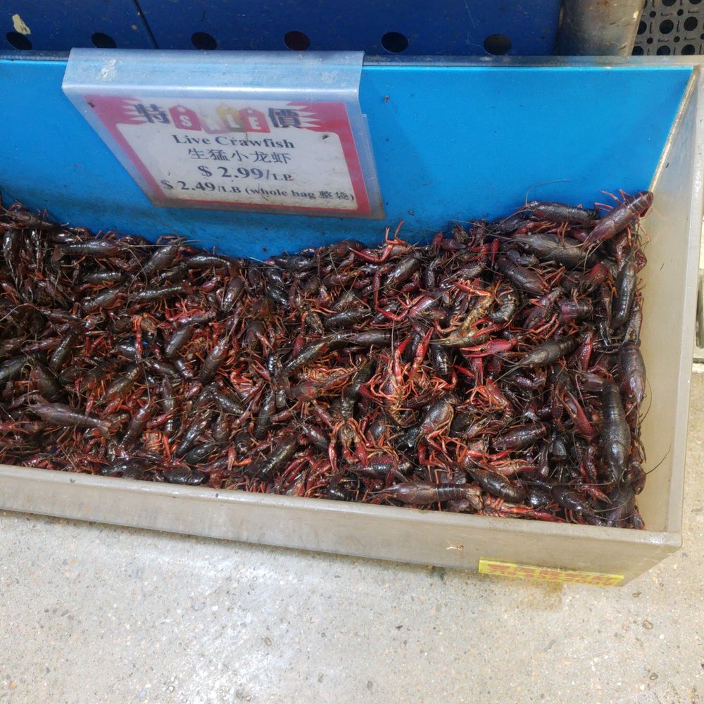 Jusgo Supermarket - International Grocery Near Me - Houston, Texas Jusgo Supermarket - International Grocery Near Me - Houston, Texas