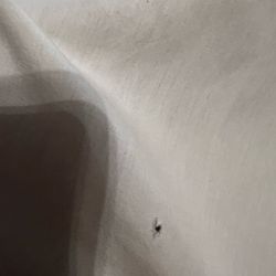 Spider Creek Resort - Holes in sheets