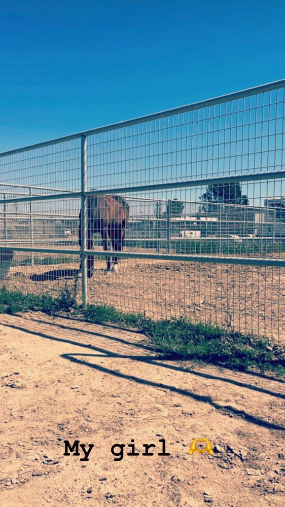 Rancho Los Amigos - equestrian in San Diego, CA