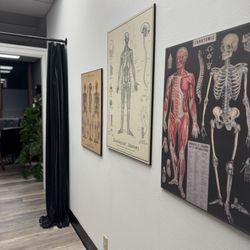 Ochs Chiropractic - Wall art - body diagrams