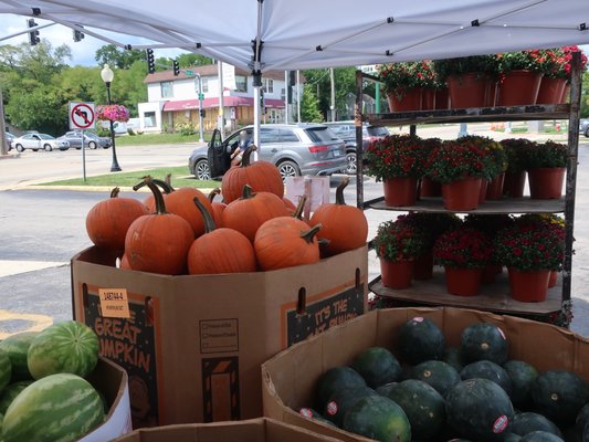 Photo of Nature’s Best Market - Westmont, IL, US. Question for a 5 year old: what season is it?