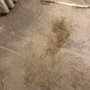 Photo of ABC Carpet