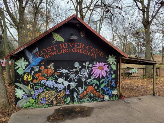 Lost River Cave by null