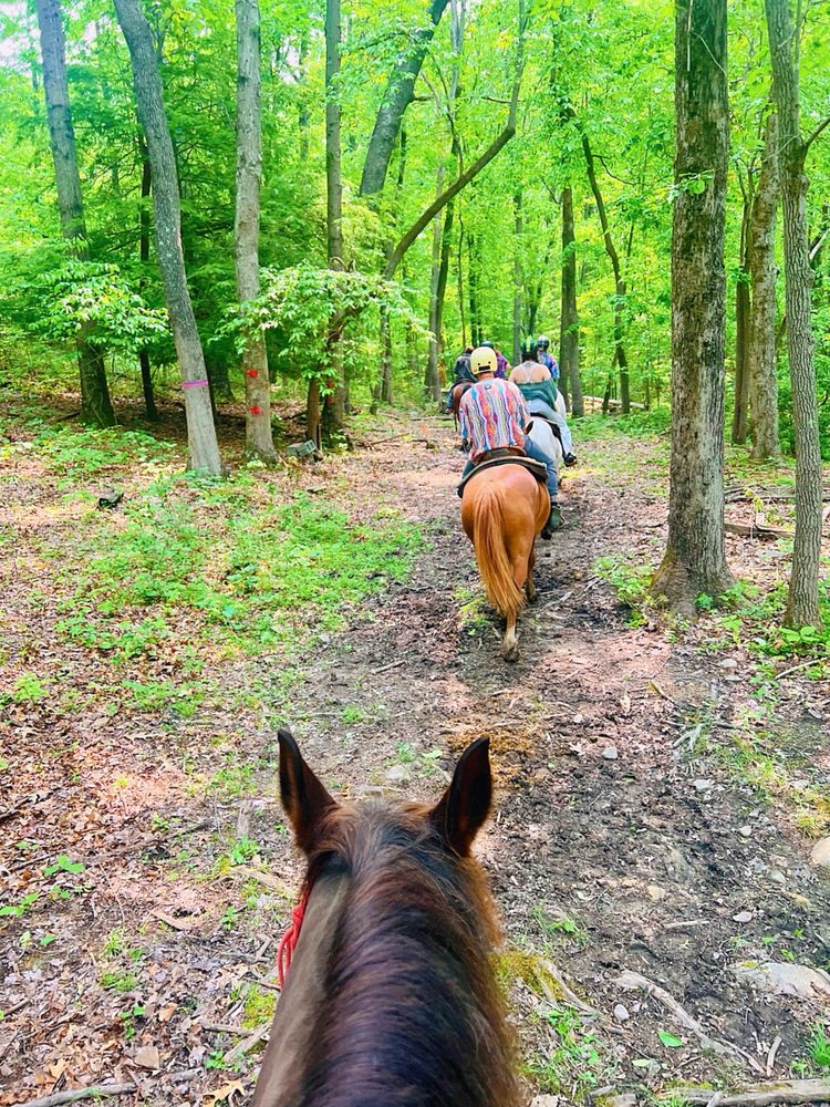 Cowboy Town - equestrian in Hico, WV