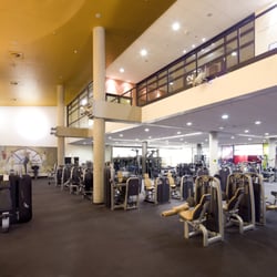 fitness & friends - Mehr als 60 Cardiogeräte, großzügige Trainingsfläche mit über 50 verschiedenen Kraftgeräten, großzügiger Freihantelbereich.
