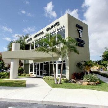 Cole Animal Clinic - Veterinarians Near Me - Boca Raton, Florida