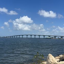 A. Max Brewer Bridge