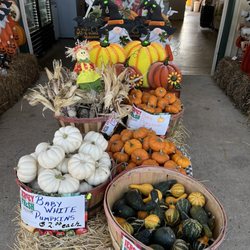 Grasso Girls Farm Market - September 2024