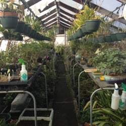 Tropical greenhouse