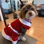 Canine Cottage Dog Grooming