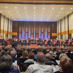Naples Philharmonic Orchestra