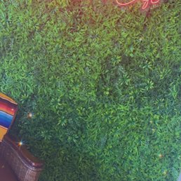 a chair in front of a green wall a chair in front of a green wall