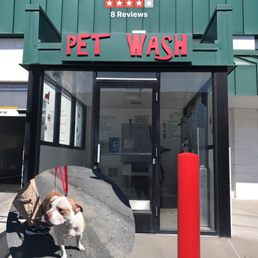 Love this part of this car wash because it has the pet wash! Love this part of this car wash because it has the pet wash!
