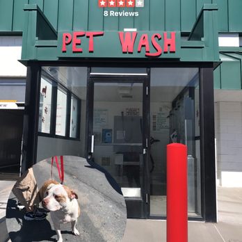 Tropical Car Wash - Love this part of this car wash because it has the pet wash! - Car Wash Near Me - Reno, Nevada Tropical Car Wash - Love this part of this car wash because it has the pet wash! - Car Wash Near Me - Reno, Nevada