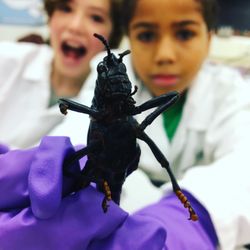 Park Century School - Learning about bugs in Science!