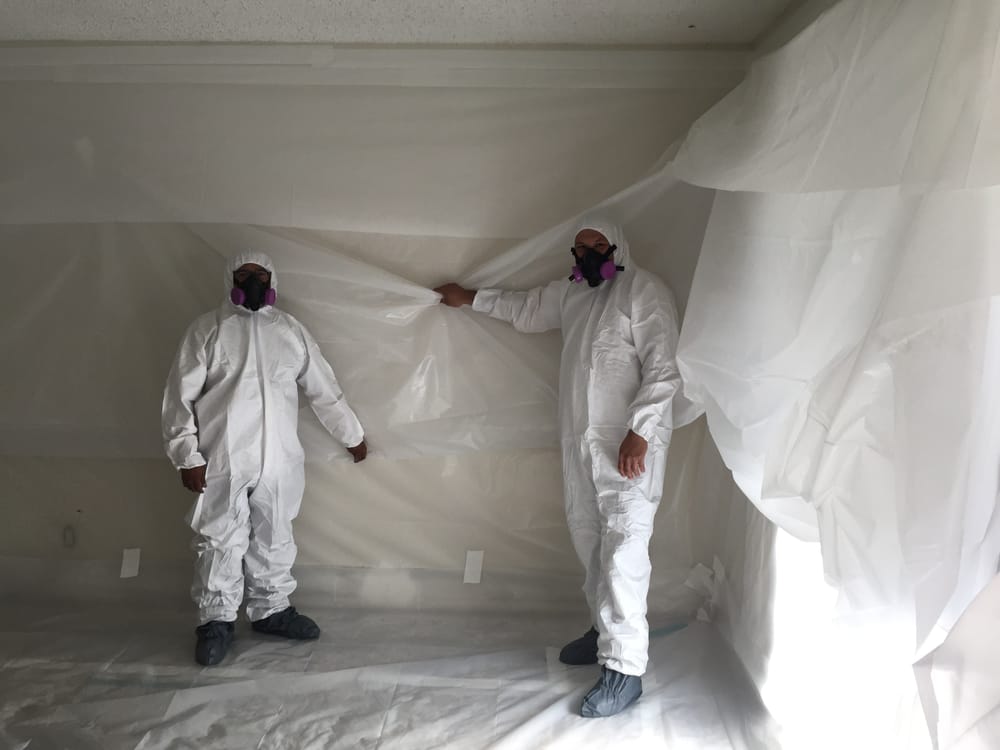 Synergy Enterprises - mold inspector in Hayward, CA