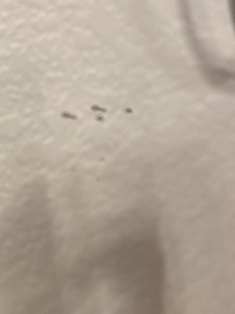 GULF COAST GLASS Updated August 2024 3929 Ayers St, Corpus Christi