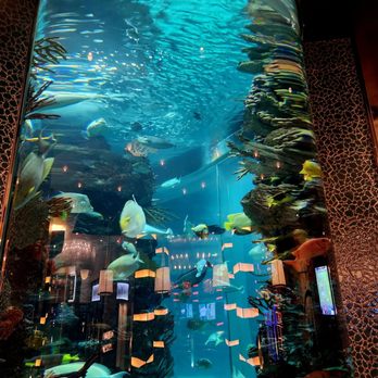 Chart House - Seafood Near Me - Las Vegas, Nevada Chart House - Seafood Near Me - Las Vegas, Nevada
