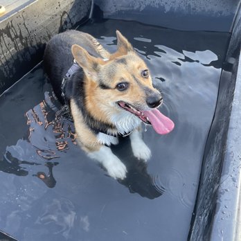 Morse Dog Park - Dog Parks Near Me - Elk Grove, California